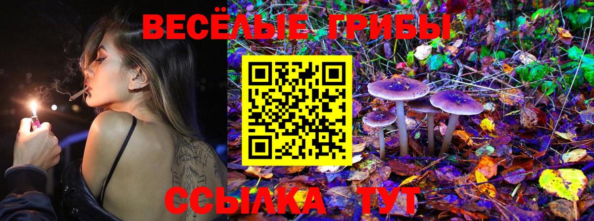Псилоцибиновые грибы Psilocybine cubensis  Галлюциногенные грибы Cubensis  Вход с VPN  Подольск 