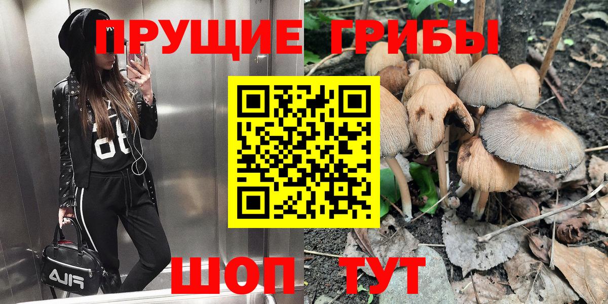 Галлюциногенные грибы Cubensis Подольск